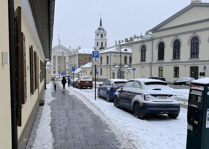 Cosy Quiet In The Center Vilnius